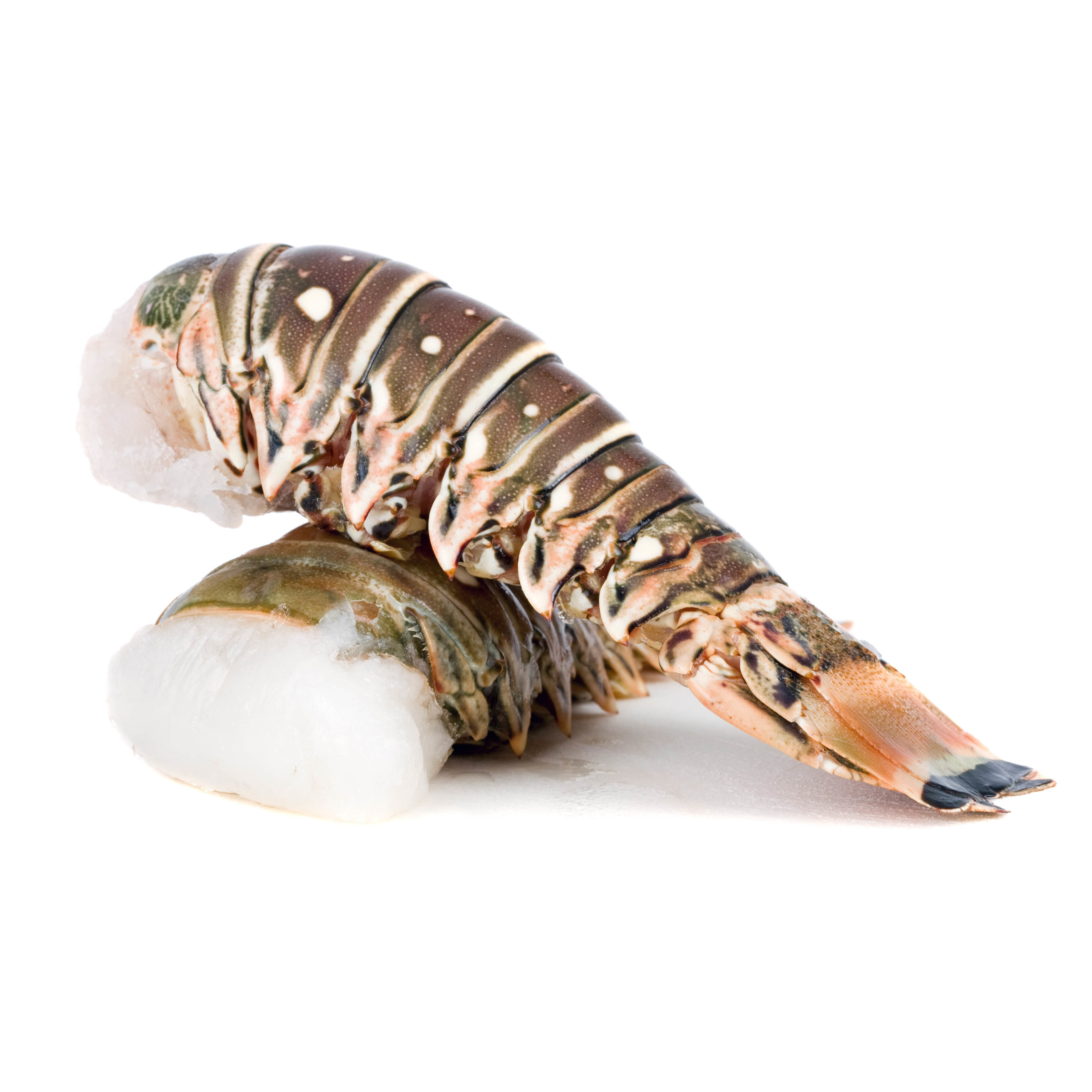 Frozen Australian Wild Green Lobster Tail | South Stream Market - South ...