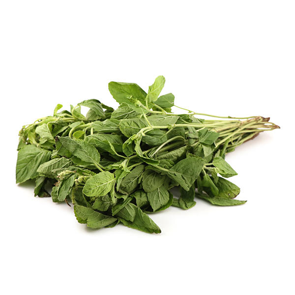 Hot Basil 300g - Thailand*