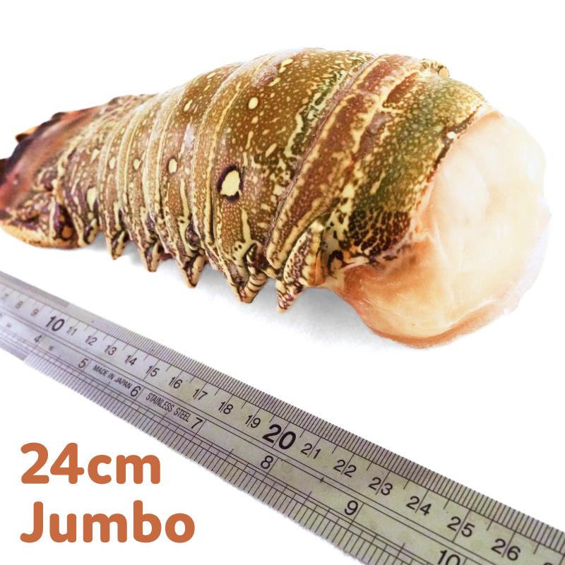 Frozen Caribbean Wild Caught Lobster Tail 12-14oz*