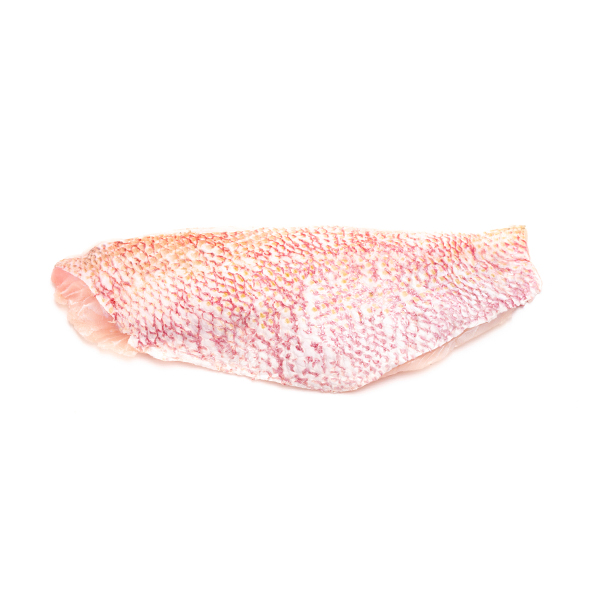 NZ Red Snapper Fillet