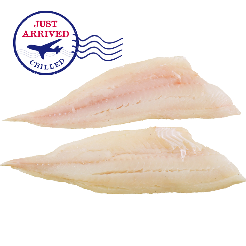 Atlantic Northeast Haddock Fillet