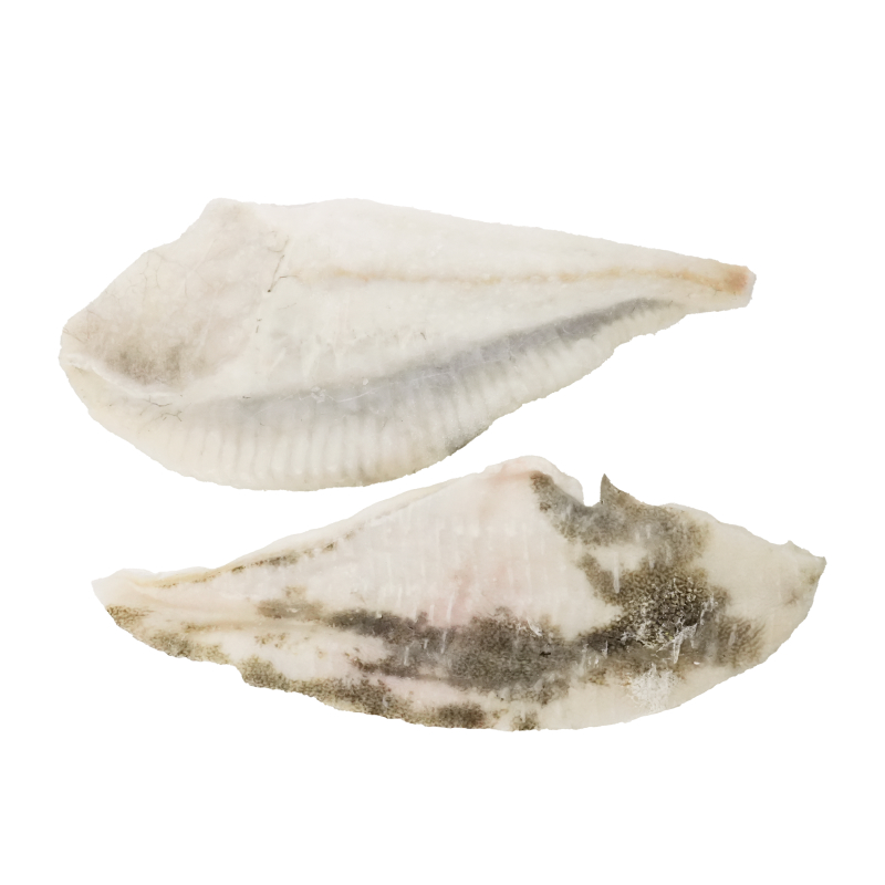 Frozen Spain Classic Turbot Fillet 2pcs 250g*