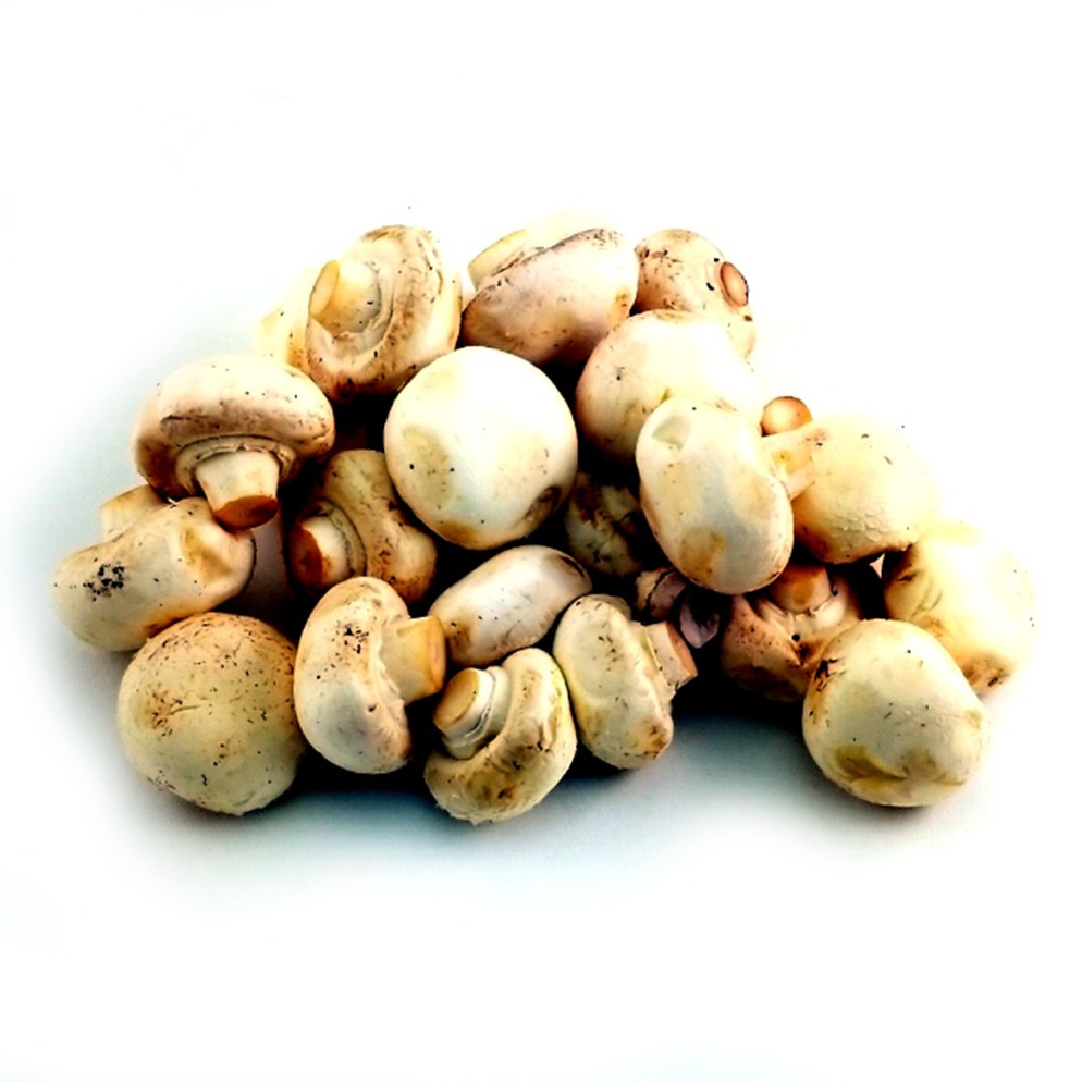 Organic White Mushroom 500g - HK*