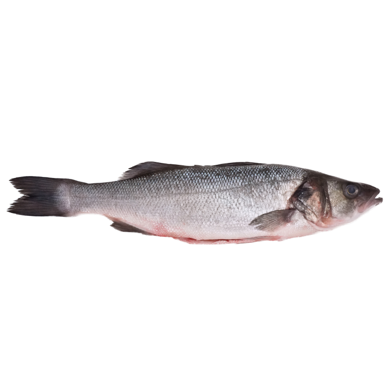 Greece Farmed Seabass (Gilled and Gutted) 4/600g*