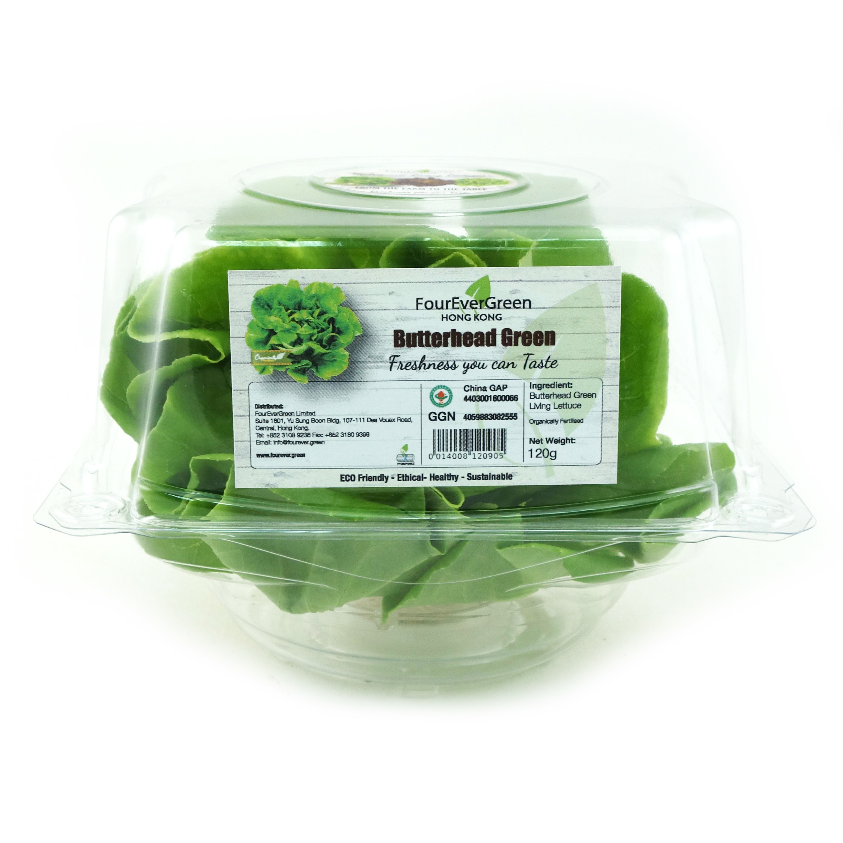 Hydroponic Butterhead Green 120g - HK*