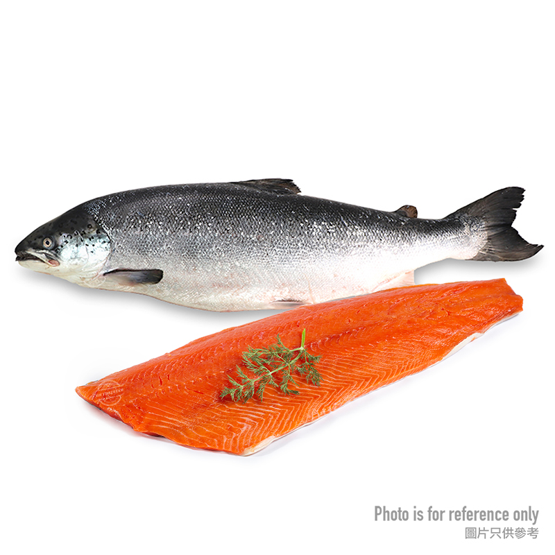 NZ RegaL Half Salmon