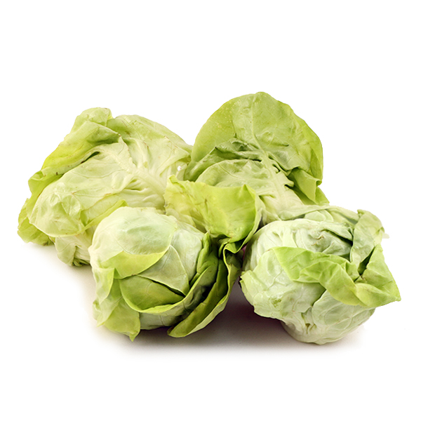 Organic Butter Lettuce 500g - China*