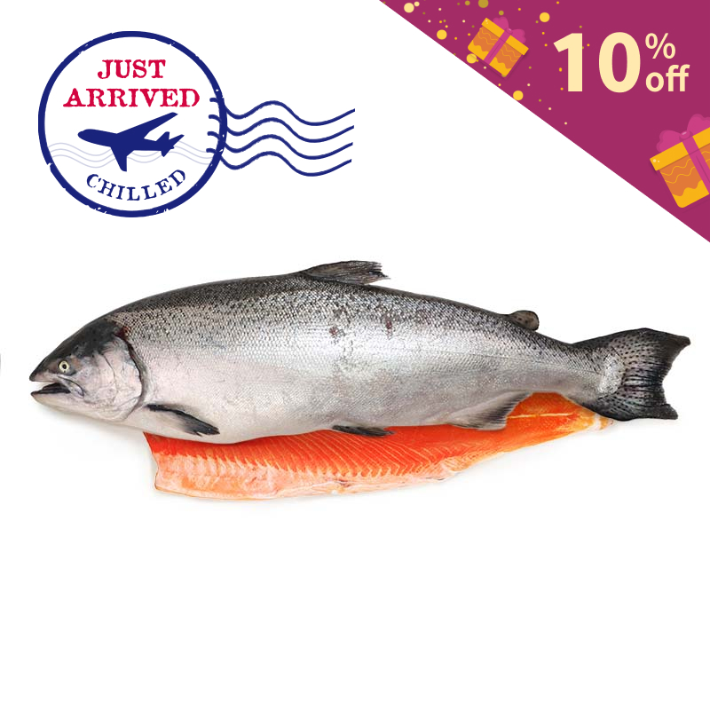 NZ Big Glory Bay Half Side King Salmon