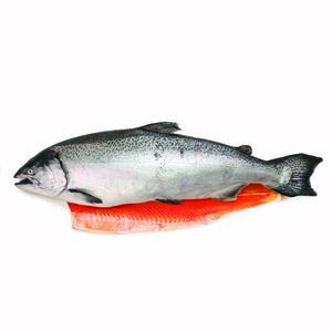 Frozen NZ Big Glory Bay Half King Salmon 