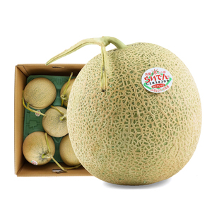 Japanese Hokkaido Cantaloupe Melon (4-5pcs) 8kg*