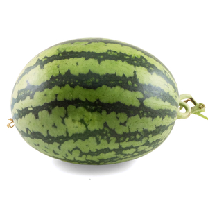 China Kimmy  Watermelon*