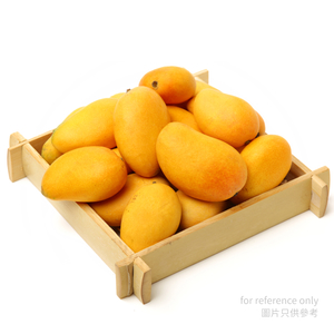 Philippine DAVAO Mangoes M Size (240-279g) 12kg*