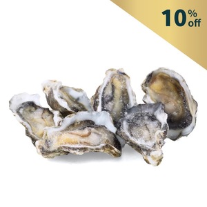 Frozen NZ Clevedon Coast Half Shell Organic Pacific Oysters 6pcs*