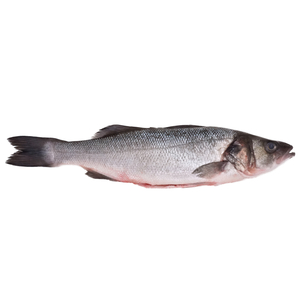 Frozen Greece Farmed Seabass (Gilled and Gutted) 4/600g*