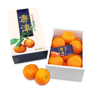 Japanese Saga Karatsu Mandarin (12pcs) 1.2kg*