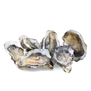 Frozen NZ Clevedon Coast Half Shell Organic Pacific Oysters 6pcs*