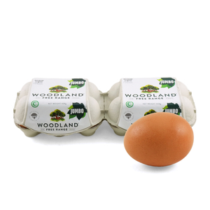 NZ Woodland Free Range Eggs (Size Jumbo) 12pcs*