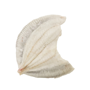 Frozen Spain Royal Turbot Fillet (pc)