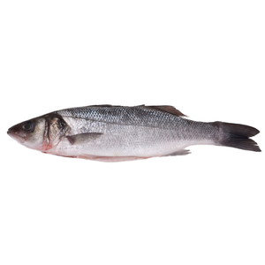 急凍希臘養殖海鱸魚(Seabass) (已去鰓及內臟) 6-800克* (已去鱗)