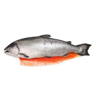 Frozen NZ Big Glory Bay Half Side King Salmon 